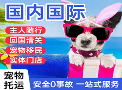 遵义新舟航空物流国际宠物托运 【国